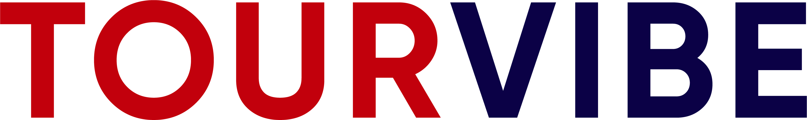 Логотип TourVibe